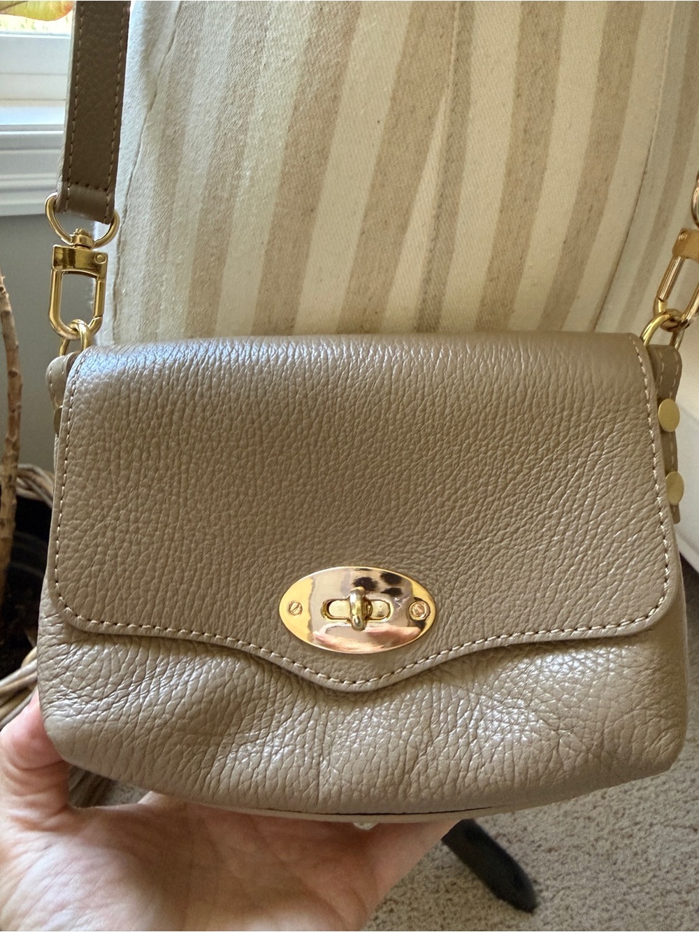 Apatchy London Maddie Taupe Leather Crossbody Bag with Gold Hardware - Picture 2 of 13